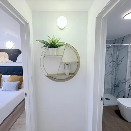 Hdfm Collection - Paradise *