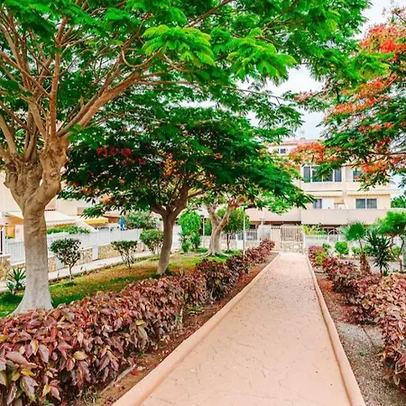 Hdfm Collection - Paradise 阿德耶